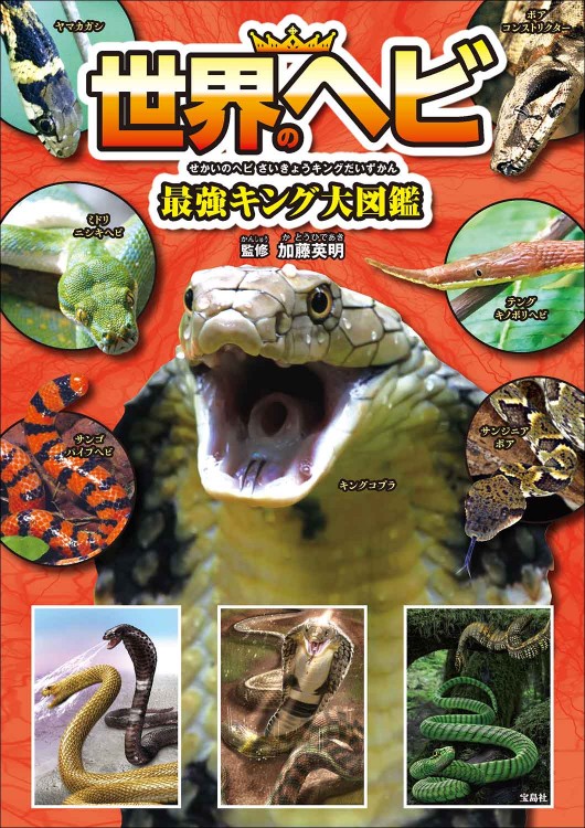 世界のヘビ最強キング大図鑑