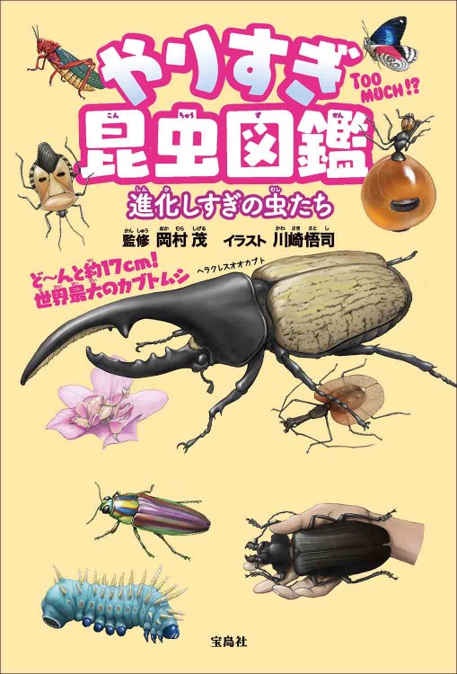 やりすぎ昆虫図鑑