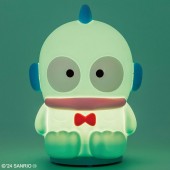 ハンギョドン お部屋ライトBOOK special package ver.