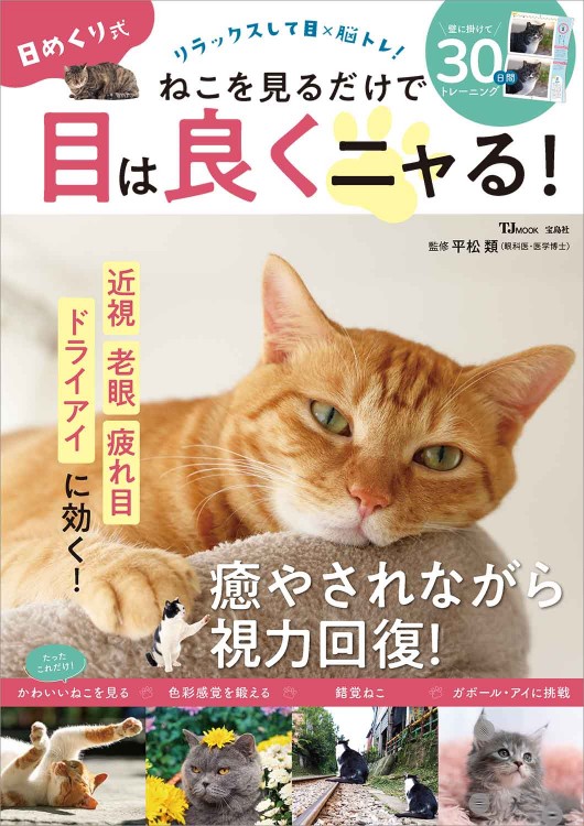 日めくり式 ねこを見るだけで目は良くニャる！