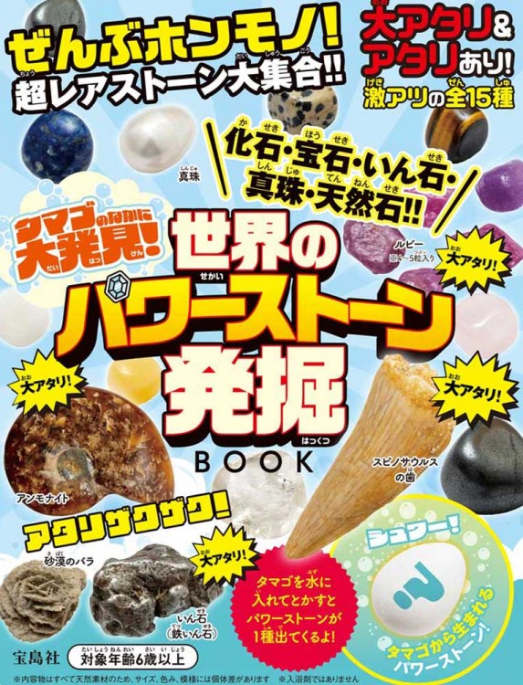 タマゴのなかに大発見! 化石・宝石・いん石・真珠・天然石!! 世界のパワーストーン発掘BOOK