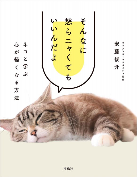 そんなに怒らニャくてもいいんだよ ネコと学ぶ心が軽くなる方法