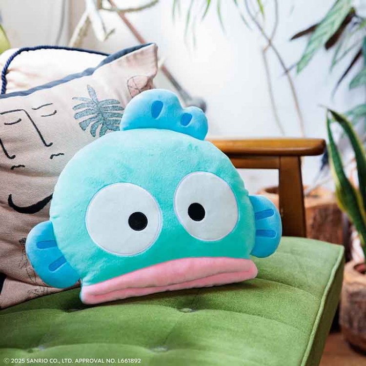 ハンギョドン 40周年！ おひるねクッションBOOK