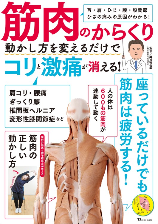 筋肉のからくり