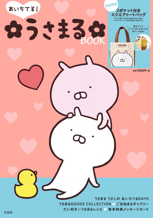 あいちてる！ うさまるBOOK